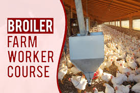 CERTIFICATE COURSE IN POULTRY MANAGEMENT